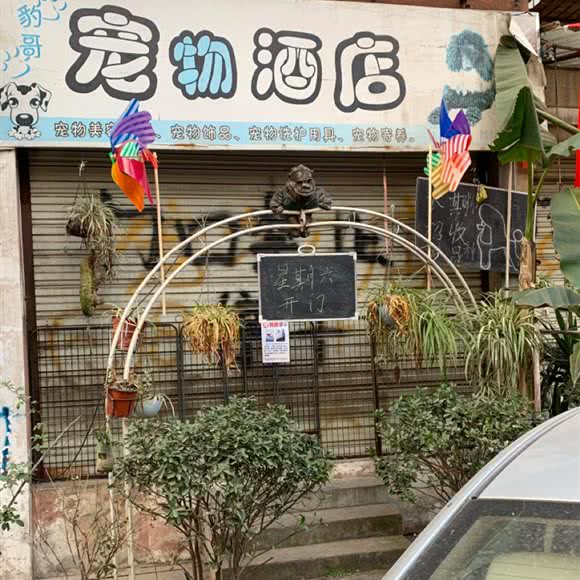豹哥宠物狗酒店:德阳市广汉市