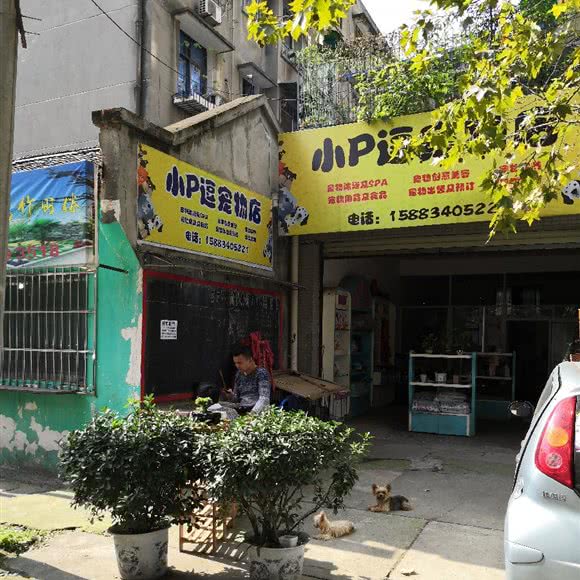 小P逗宠物店:德阳市广汉市