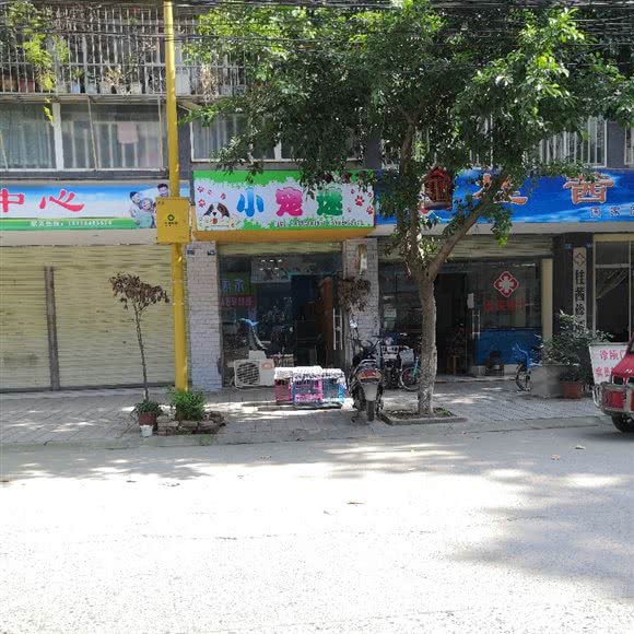 小宠迷宠物生活馆:德阳市广汉市
