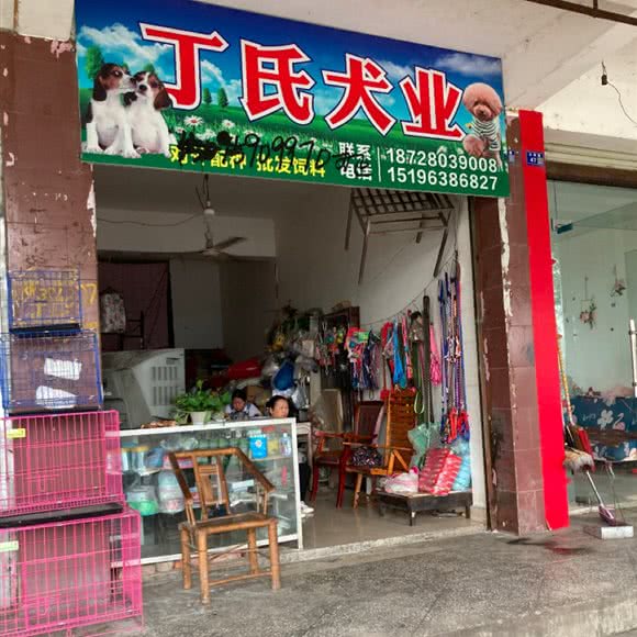丁氏犬业:德阳市广汉市