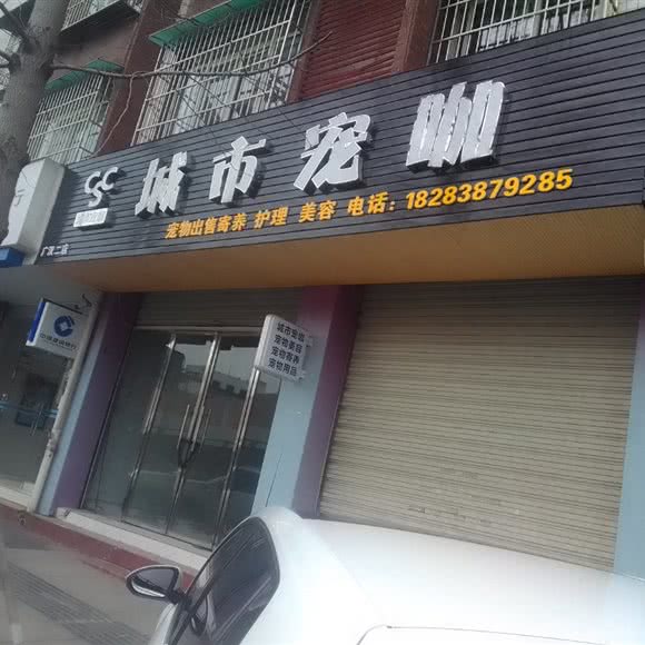 旧城区宠咖:德阳市广汉市