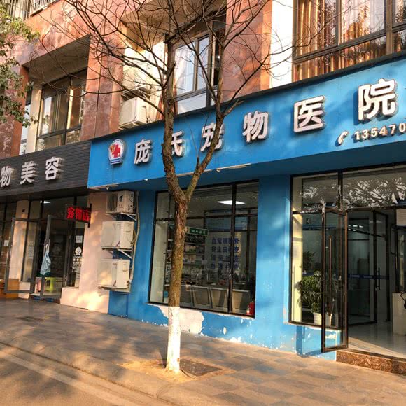 庞氏宠物医院:德阳市什邡市