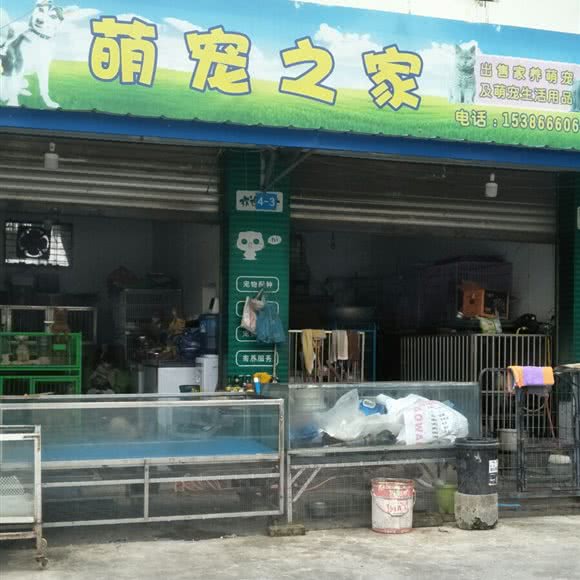 萌宠之家:绵阳市涪城区