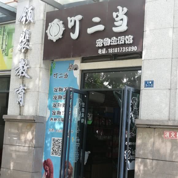 叮三当宠物生活馆:绵阳市游仙区