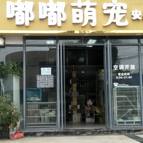 嘟嘟萌宠(安州店):绵阳市安州区