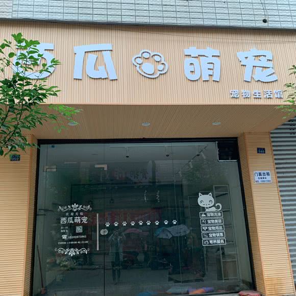西瓜萌宠宠物生活馆:绵阳市安州区