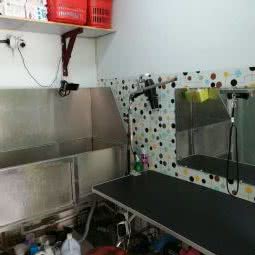 萌萌哒宠屋:沈阳市皇姑区陵东附近