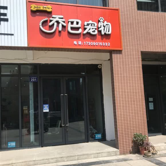 乔巴宠物:绵阳市江油市