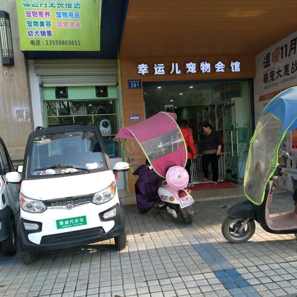 幸运儿宠物会馆:绵阳市江油市