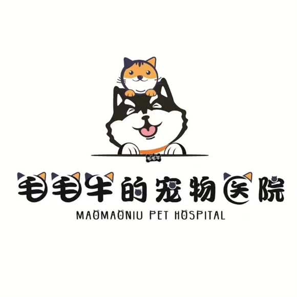 毛毛牛的宠物医院(老城分院):广元市利州区