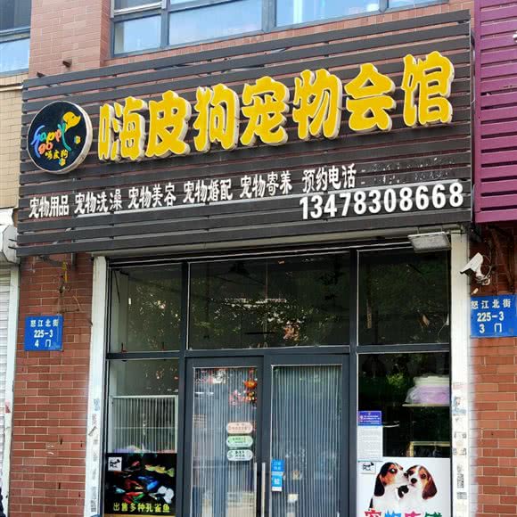 嗨皮狗宠物会馆:沈阳市皇姑区沈阳医学院附近