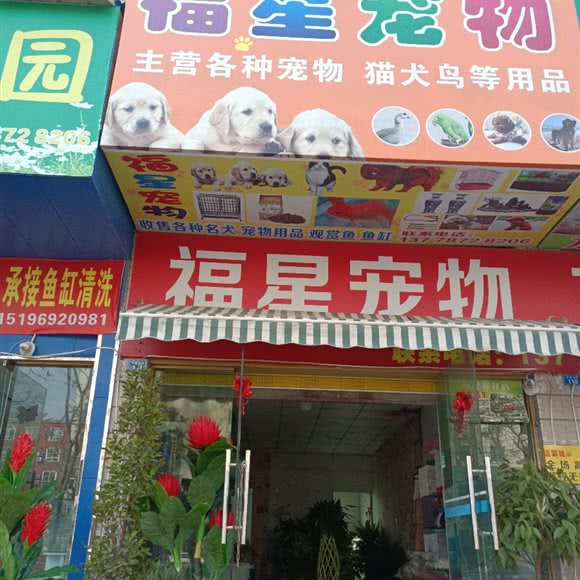 福星宠物:遂宁市大英县