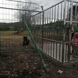 HOPE宠物乐园:内江市东兴区