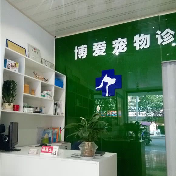宠物门诊:内江市资中县