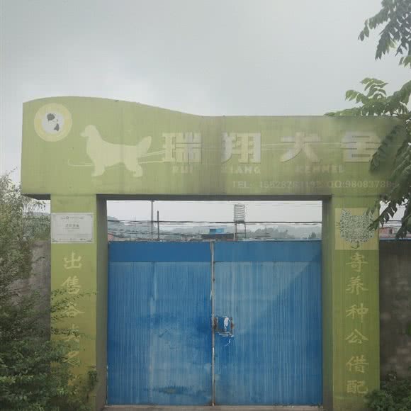 瑞翔犬舍:乐山市市中区