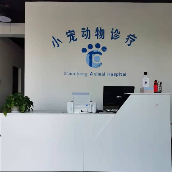 小宠宠物诊所:乐山市市中区