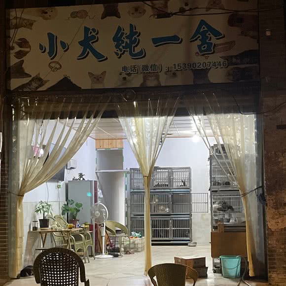 小犬纯1舍:乐山市五通桥区