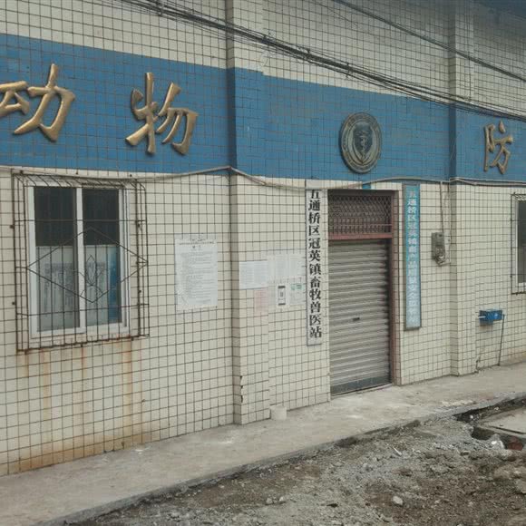 五通桥区冠英镇畜牧兽医站:乐山市五通桥区