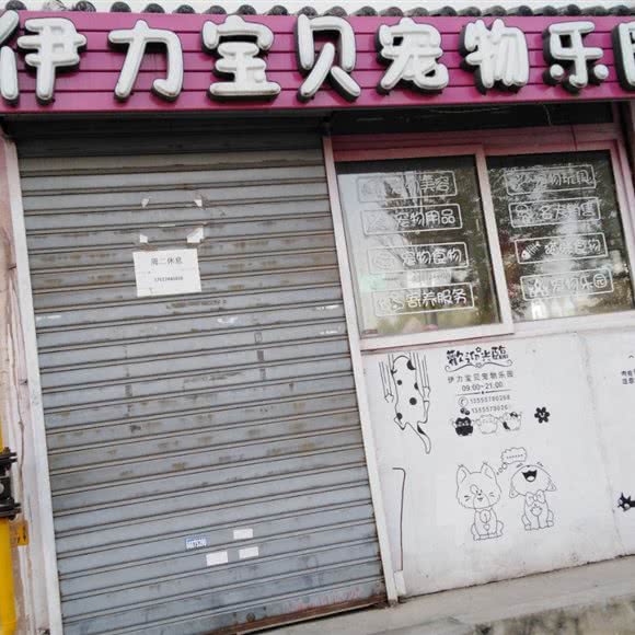 伊力宝贝宠物乐园:沈阳市皇姑区塔湾附近