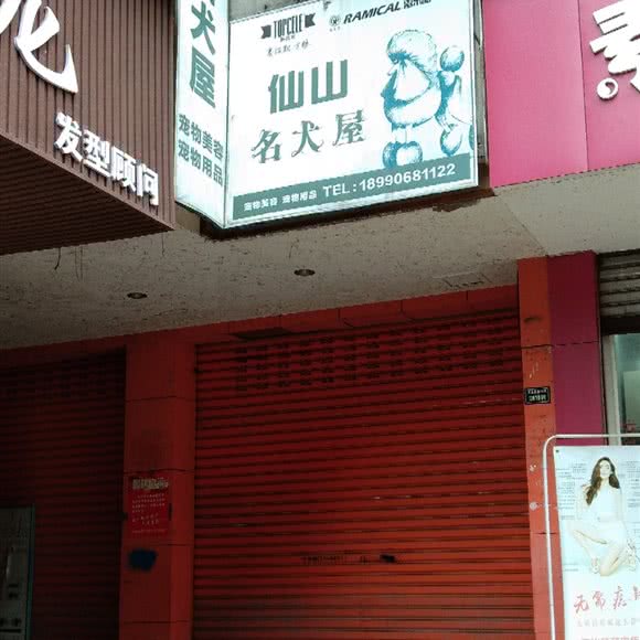 仙山名犬屋:乐山市峨眉山市