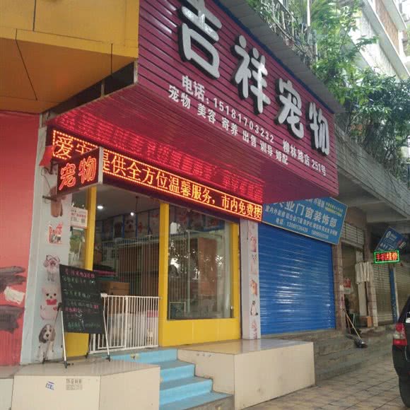 吉祥宠物(柳林路店):南充市顺庆区