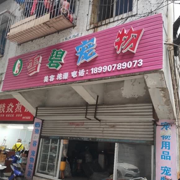 雪碧宠物:南充市顺庆区