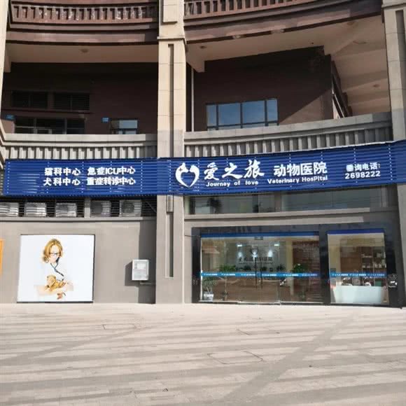 爱之旅动物医院:南充市顺庆区