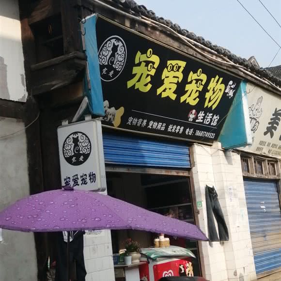 宠爱宠物生活馆(新正街店):南充市高坪区