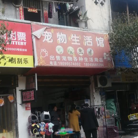 宠物生活馆:南充市嘉陵区