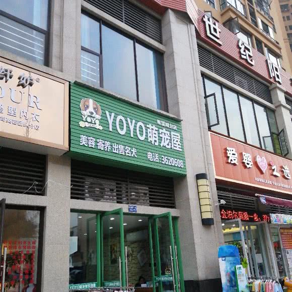 YOYO萌宠屋(希望城分店):南充市嘉陵区