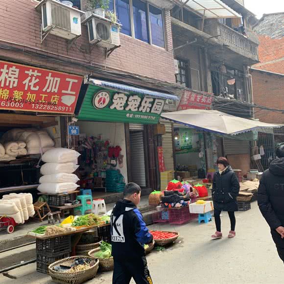 宠宠乐园:南充市南部县