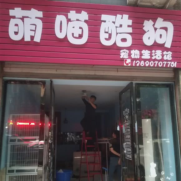 萌喵酷狗:南充市南部县