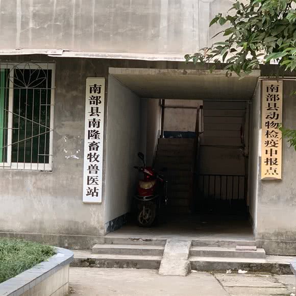 南部县南隆畜牧兽医站:南充市南部县