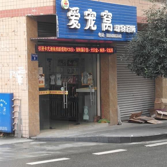 爱宠窝:南充市营山县