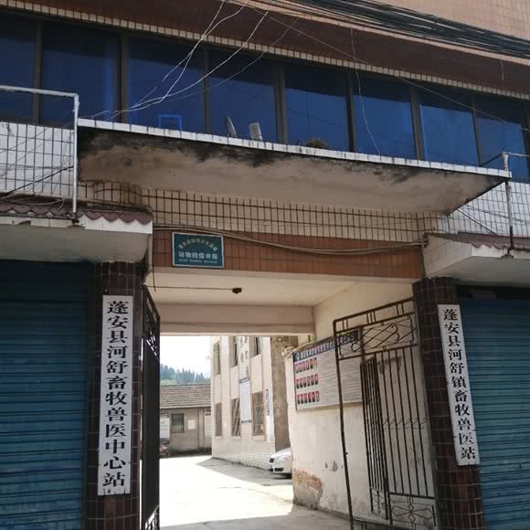蓬安县河舒镇畜牧兽医站:南充市蓬安县