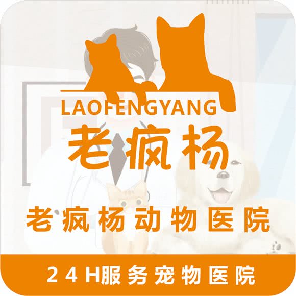 老疯杨动物医院:南充市西充县