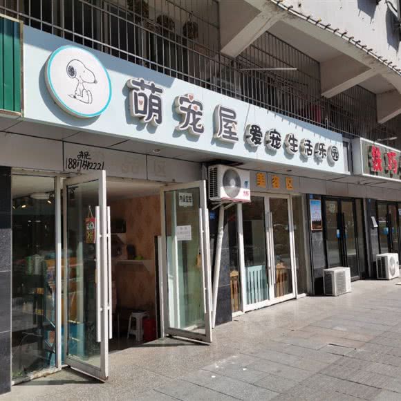 萌宠屋爱宠生活乐园:南充市阆中市