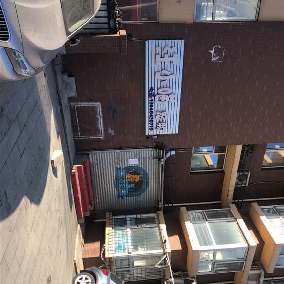 汪小喵宠物:沈阳市皇姑区明廉附近