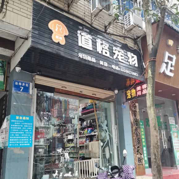 道格宠物:南充市阆中市