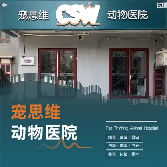 宠思维动物医院:北京城区东城区天坛附近