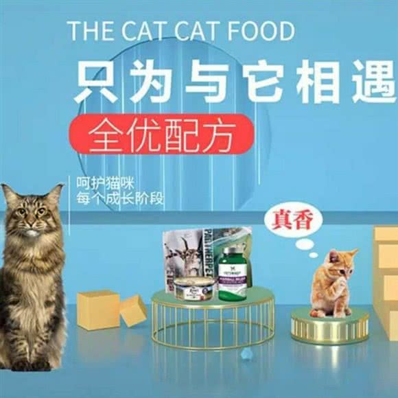 八月猫舍:眉山市彭山区