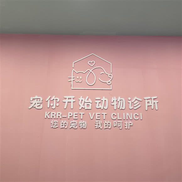 宠你开始动物诊所:眉山市仁寿县