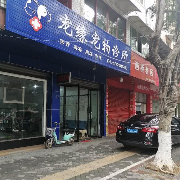 宠缘宠物诊所:眉山市丹棱县