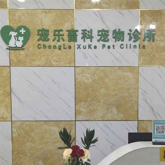 宠乐畜科宠物诊所:宜宾市翠屏区