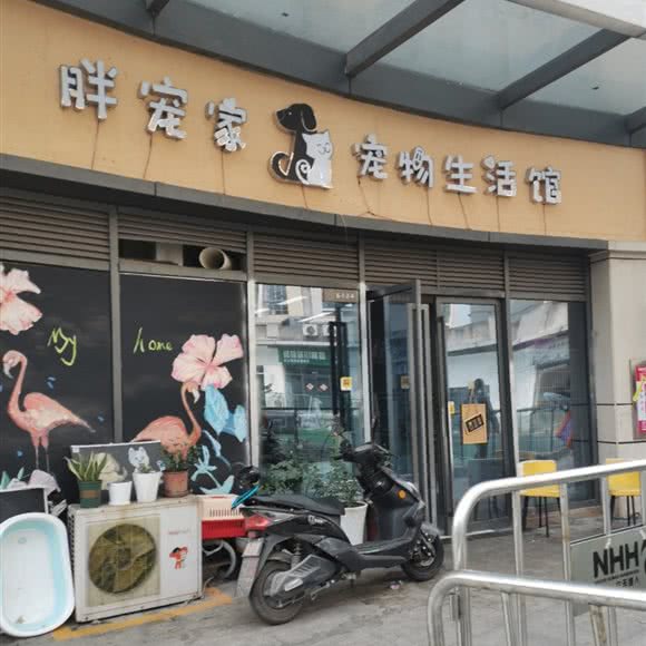 胖宠家宠物生活馆:宜宾市叙州区