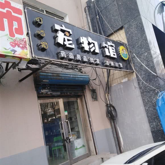 叮口当猫宠物馆:沈阳市皇姑区长客总站附近