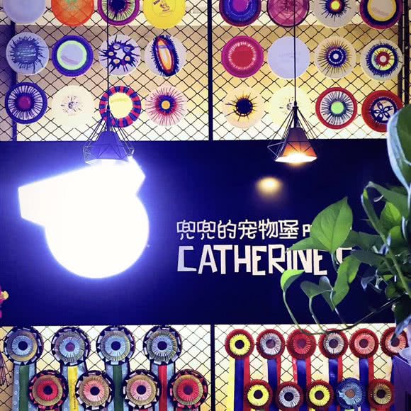 兜兜的宠物堡(新安江街店):沈阳市皇姑区皇姑屯附近