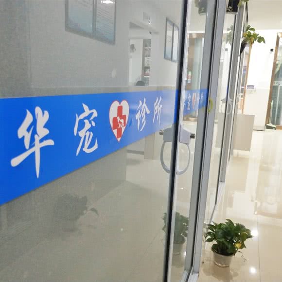 华宠动物诊所(华宠动保):广安市华蓥市