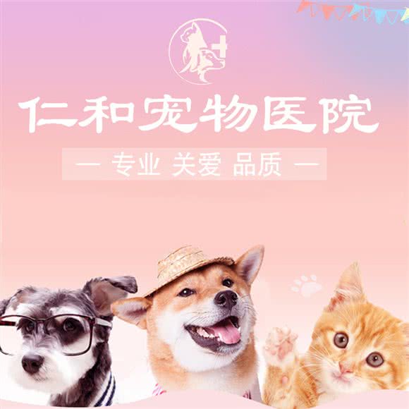 仁和动物医院:达州市宣汉县
