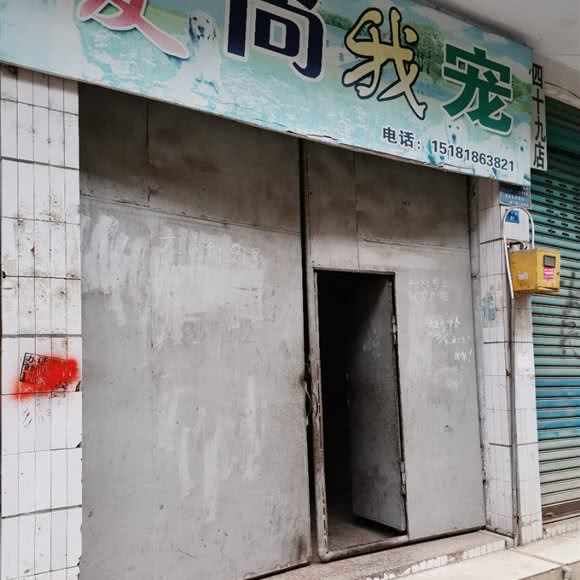 爱尚我宠(四十九店):达州市开江县